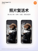 <b>即可生成专属AI动</b>